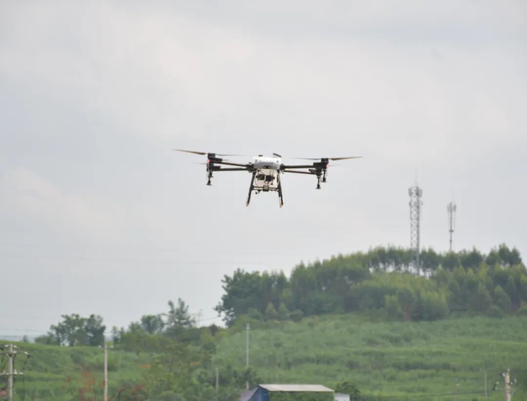 宾阳县振翅低空 广西首个植保无人机产业项目投产驱动新质生产力